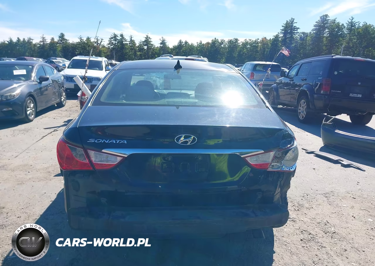 2011 Hyundai Sonata Gls VIN:5NPEB4AC9BH023475 - 17