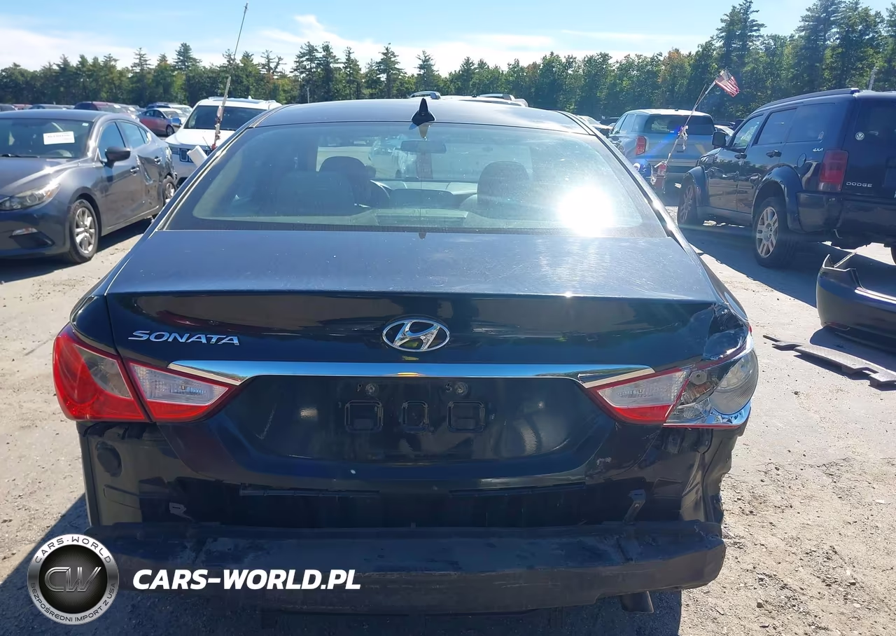 2011 Hyundai Sonata Gls VIN:5NPEB4AC9BH023475 - 18