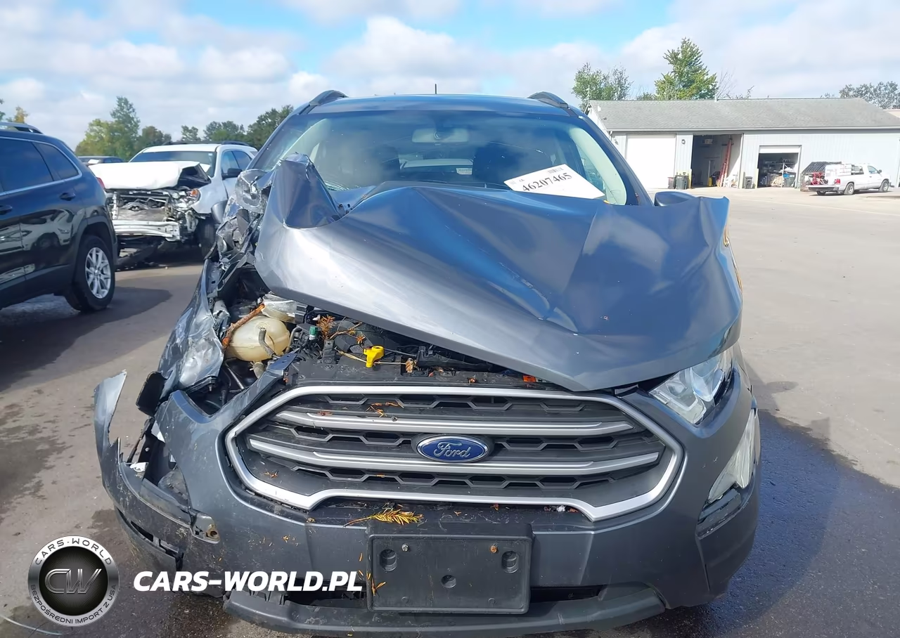2020 Ford Ecosport Se VIN:MAJ6S3GL5LC392651 - 12