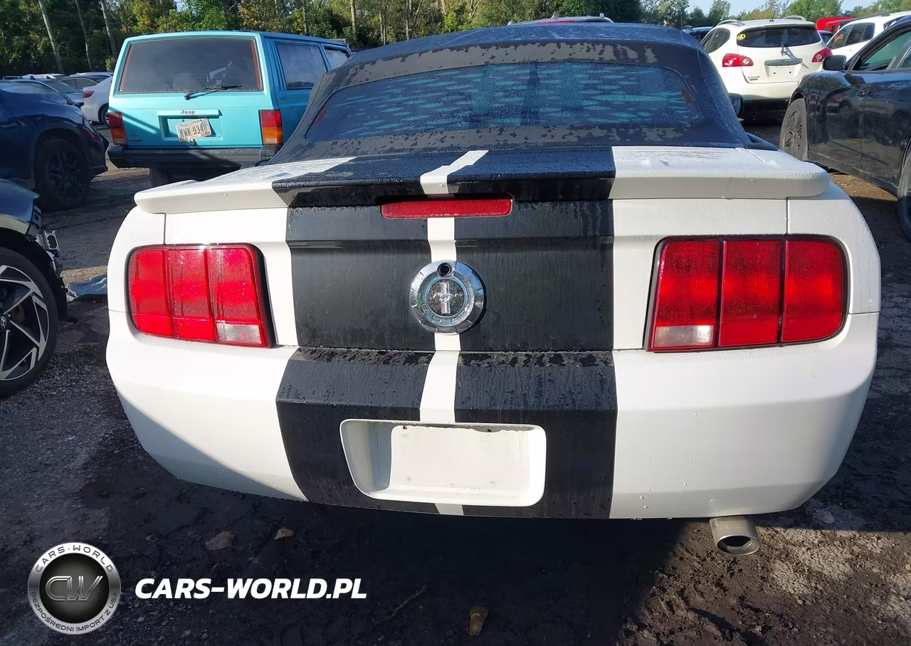 2008 Ford Mustang Premium-V6 Deluxe VIN:1ZVHT84N685146039 - 16