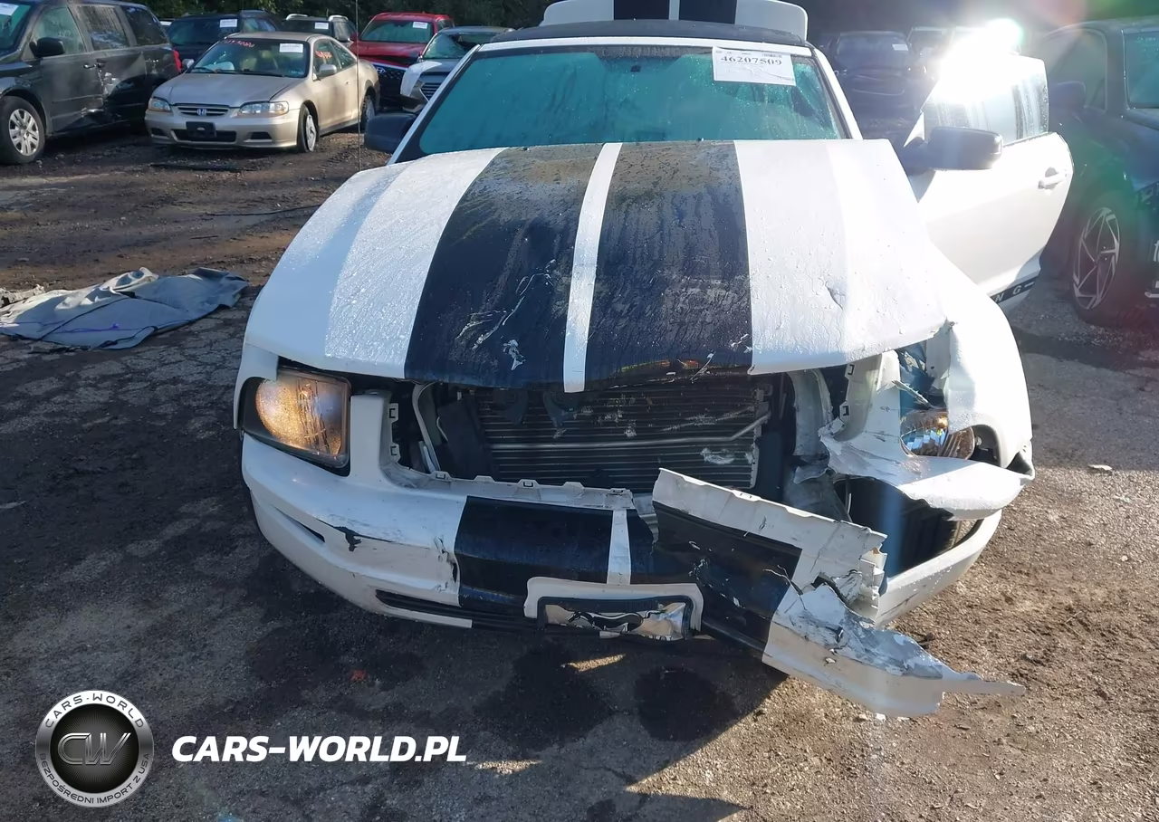 2008 Ford Mustang Premium-V6 Deluxe VIN:1ZVHT84N685146039 - 6