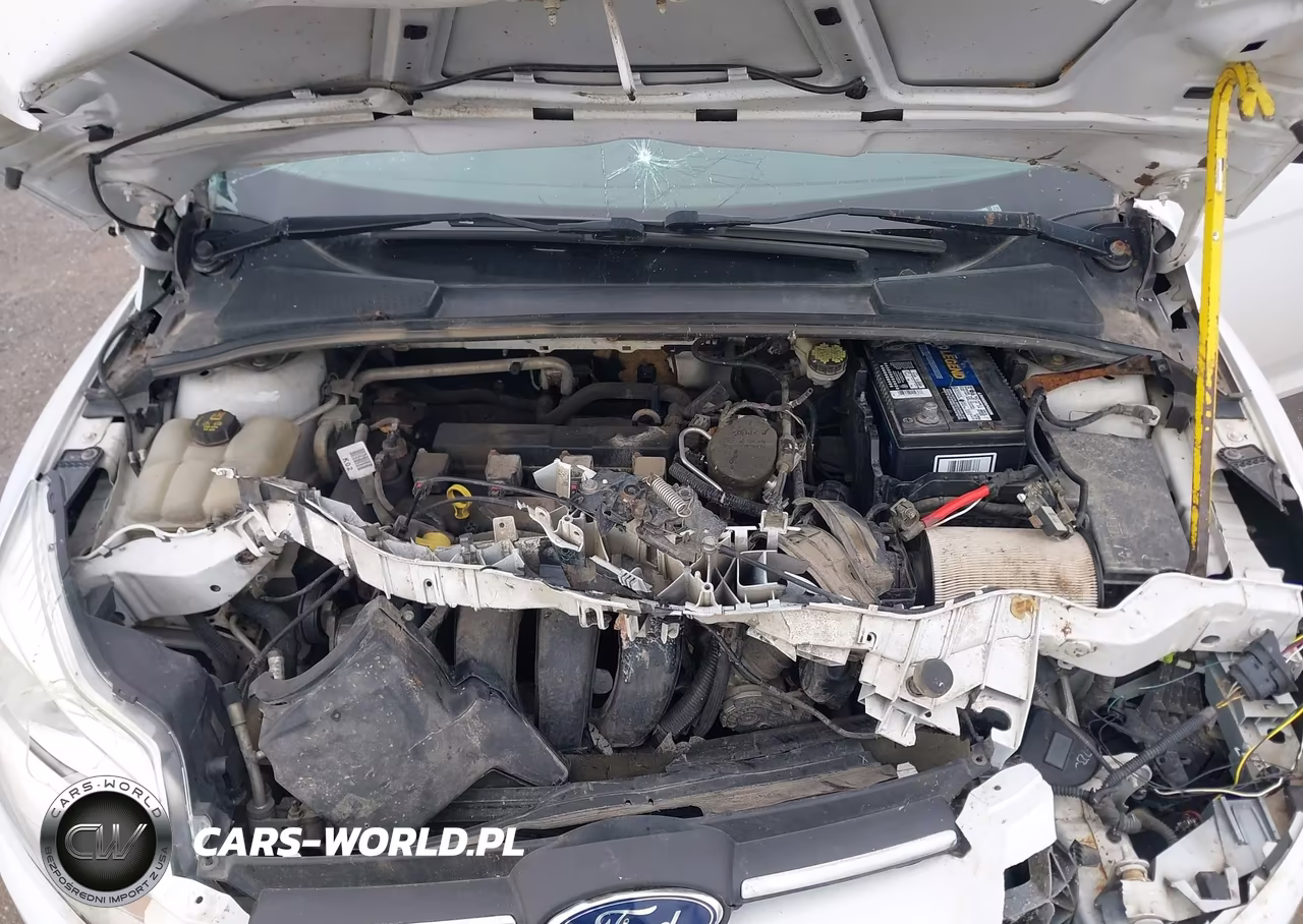 2014 Ford Focus Se VIN:1FADP3K29EL131405 - 10