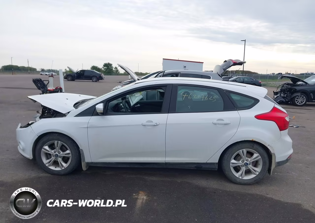 2014 Ford Focus Se VIN:1FADP3K29EL131405 - 15