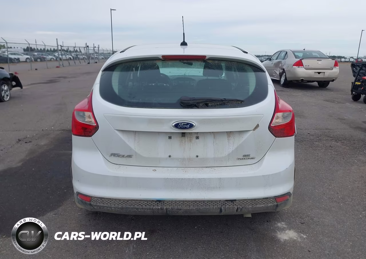 2014 Ford Focus Se VIN:1FADP3K29EL131405 - 17