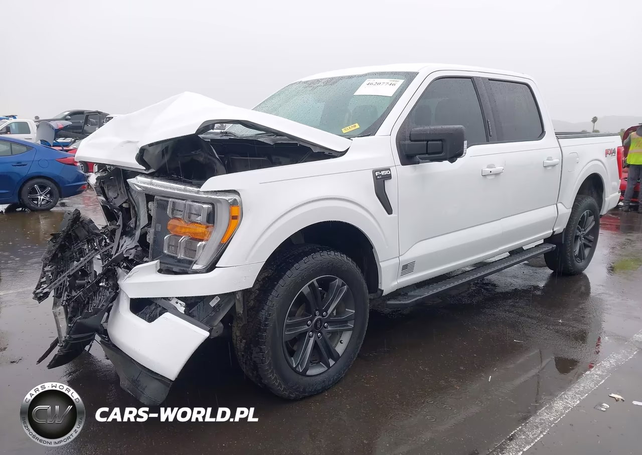 2023 Ford F-150 Xlt VIN:1FTFW1E87PKD22422 - 2