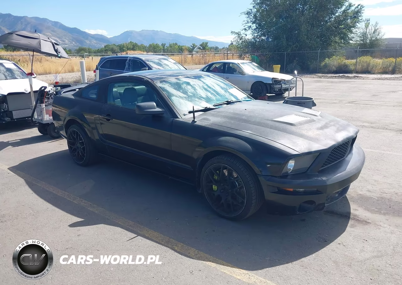 2006 Ford Mustang Gt VIN:1ZVFT82H765180251 - 1
