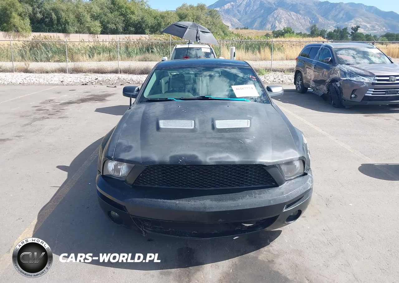 2006 Ford Mustang Gt VIN:1ZVFT82H765180251 - 12
