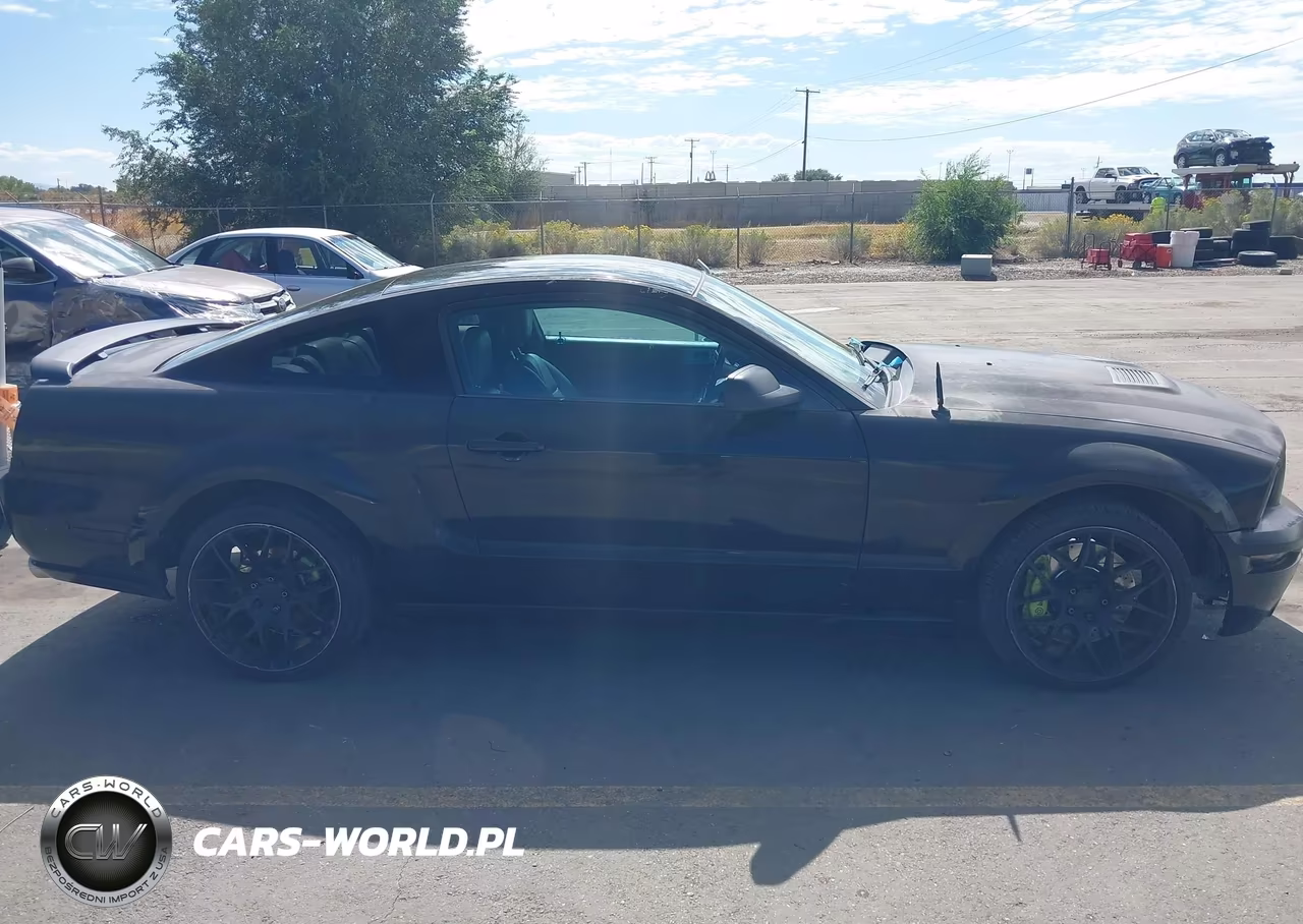 2006 Ford Mustang Gt VIN:1ZVFT82H765180251 - 13