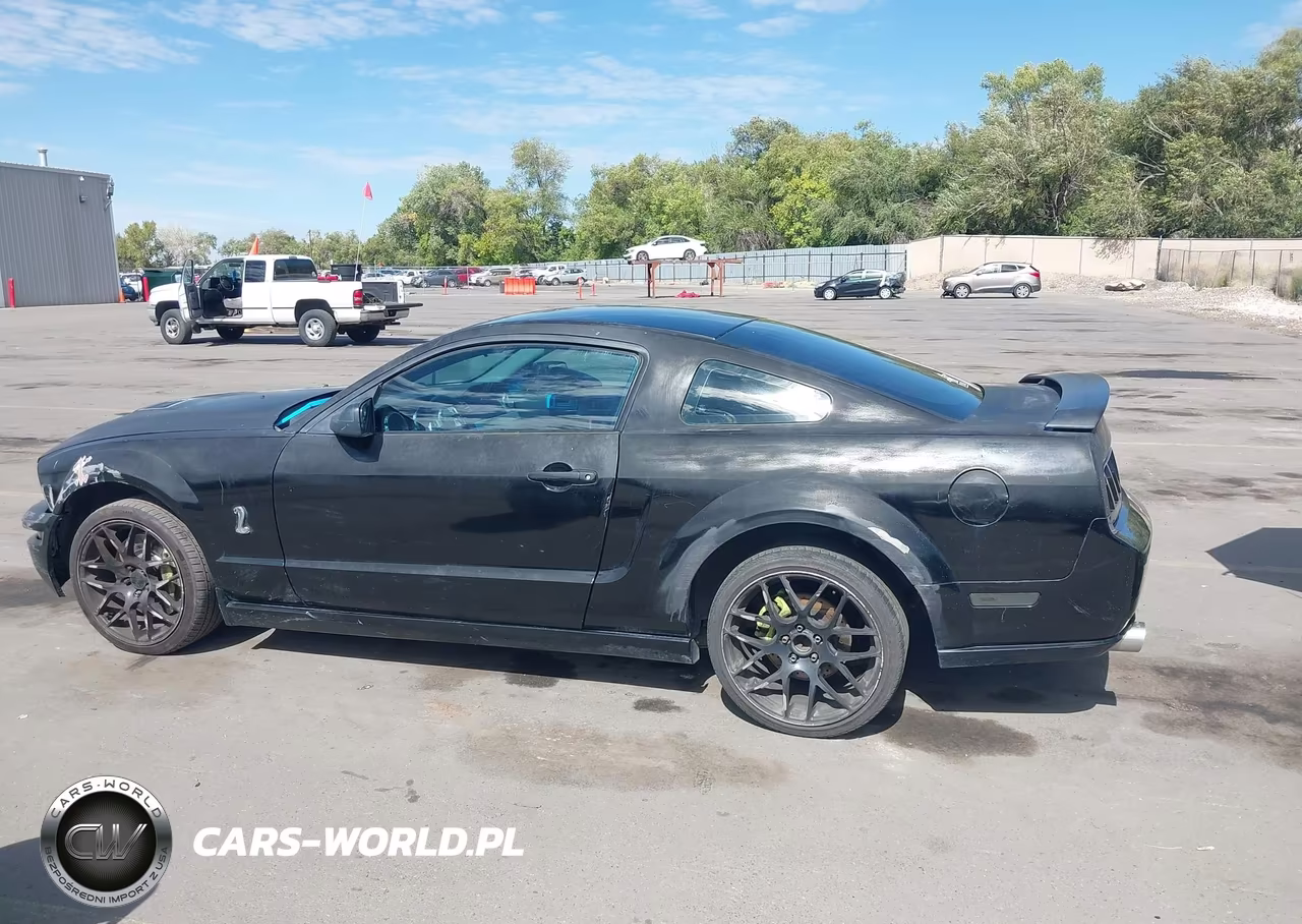 2006 Ford Mustang Gt VIN:1ZVFT82H765180251 - 14