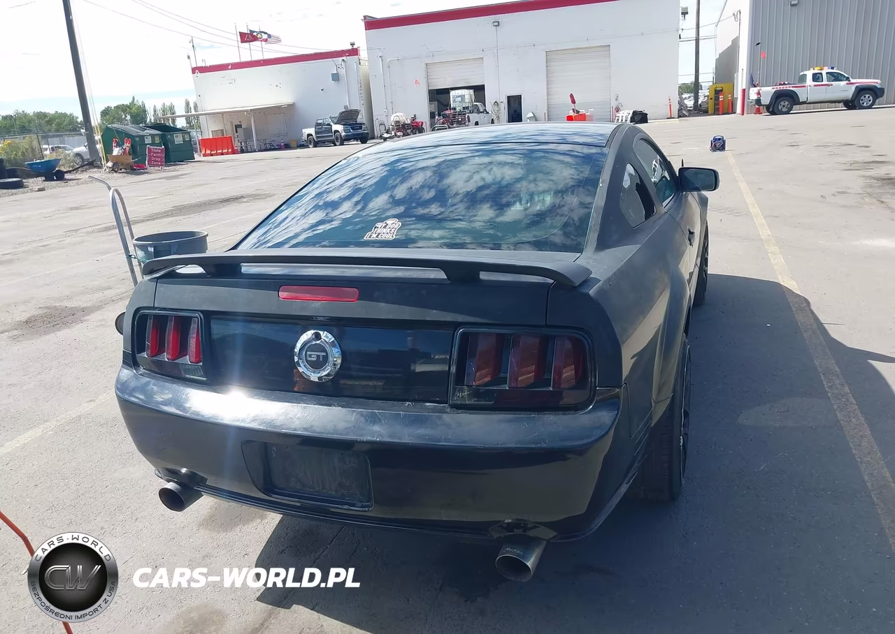 2006 Ford Mustang Gt VIN:1ZVFT82H765180251 - 16