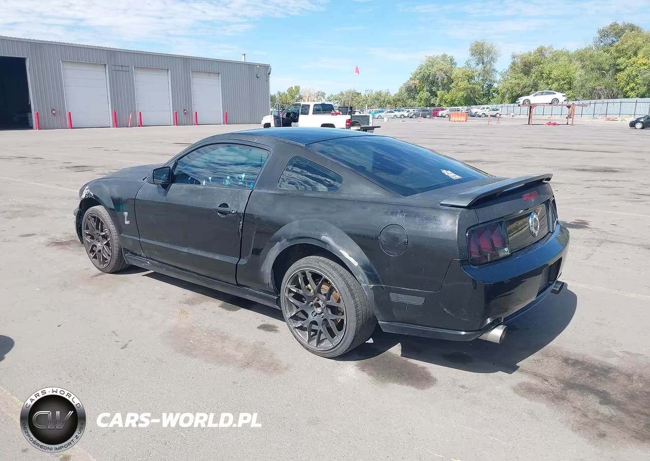 2006 Ford Mustang Gt VIN:1ZVFT82H765180251 - 3