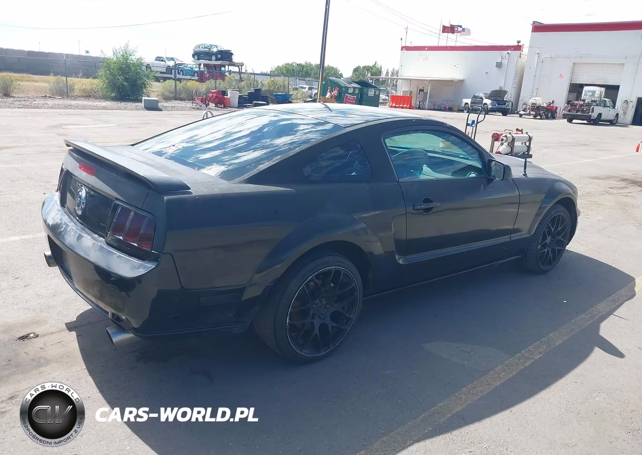 2006 Ford Mustang Gt VIN:1ZVFT82H765180251 - 4
