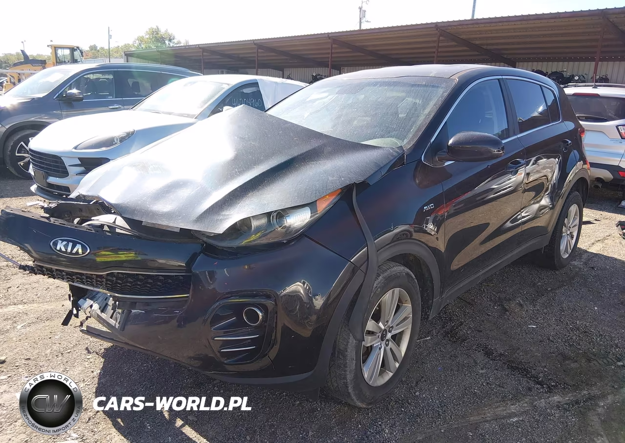 2017 Kia Sportage Lx VIN:KNDPMCAC5H7116312 - 2