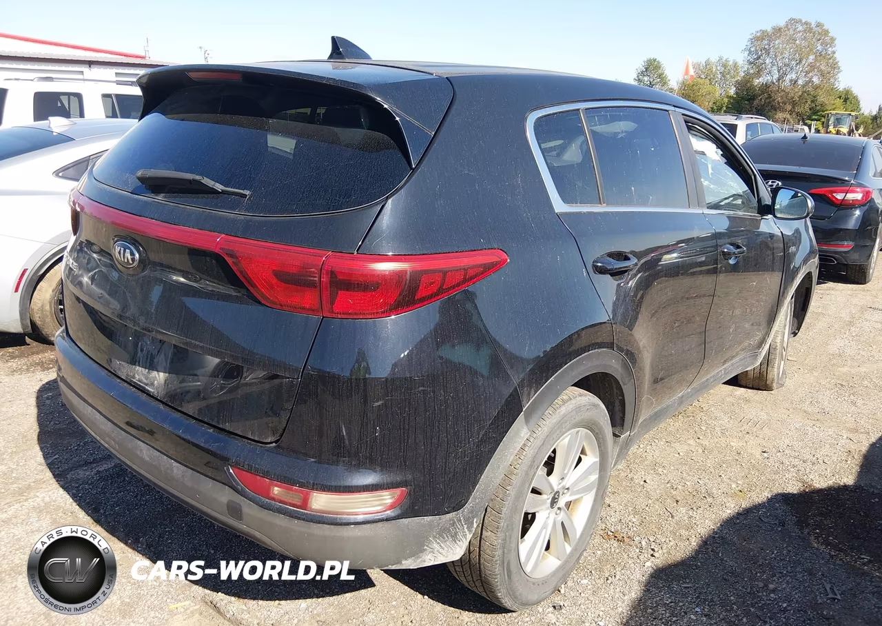2017 Kia Sportage Lx VIN:KNDPMCAC5H7116312 - 4