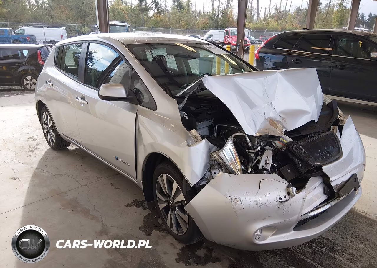 2016 Nissan Leaf Sv VIN:1N4BZ0CP0GC305200 - 1