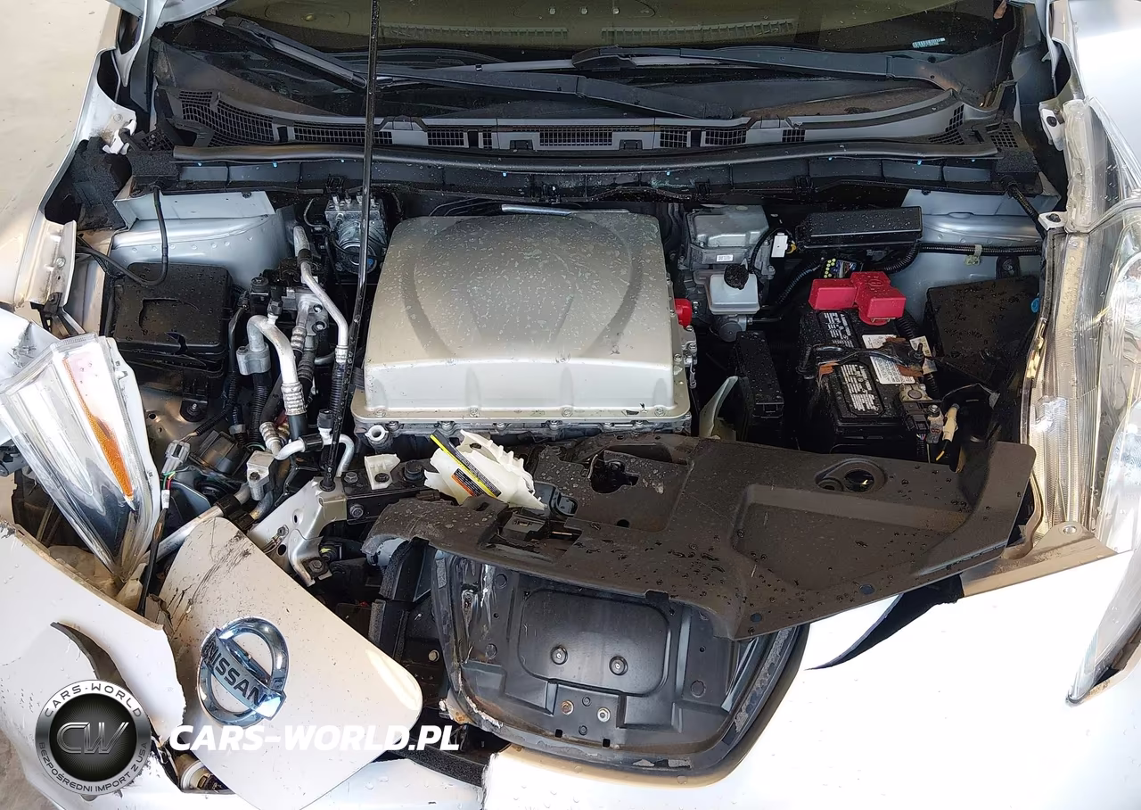 2016 Nissan Leaf Sv VIN:1N4BZ0CP0GC305200 - 10