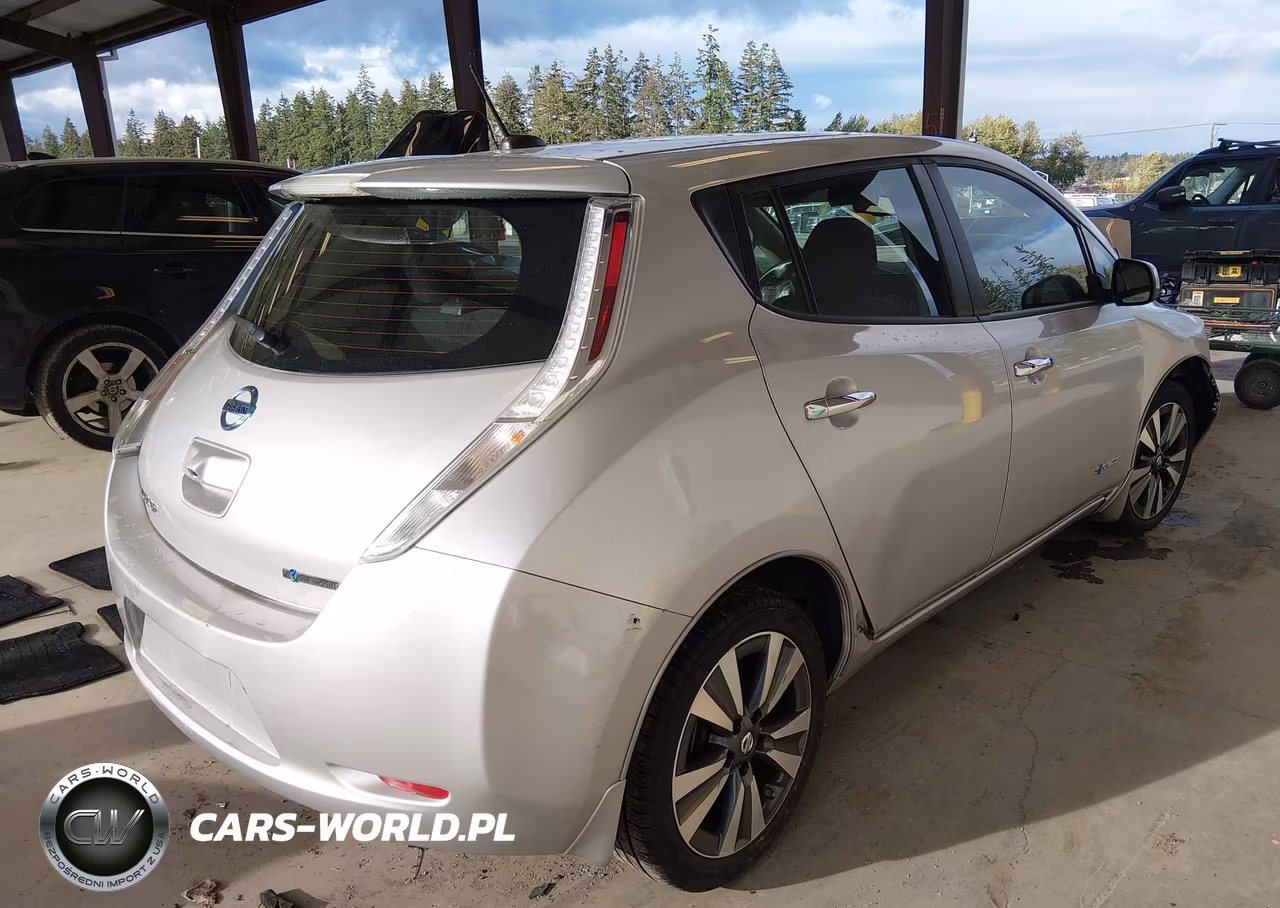 2016 Nissan Leaf Sv VIN:1N4BZ0CP0GC305200 - 4