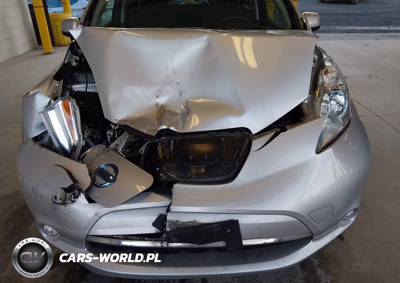 2016 Nissan Leaf Sv VIN:1N4BZ0CP0GC305200 - 6