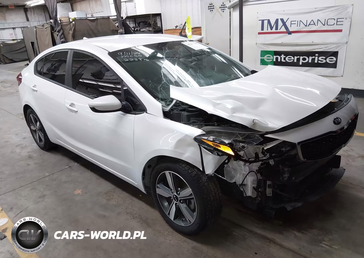 2018 Kia Forte Lx VIN:3KPFL4A79JE223876 - 1