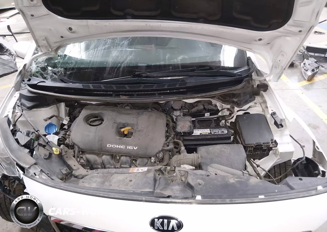 2018 Kia Forte Lx VIN:3KPFL4A79JE223876 - 10
