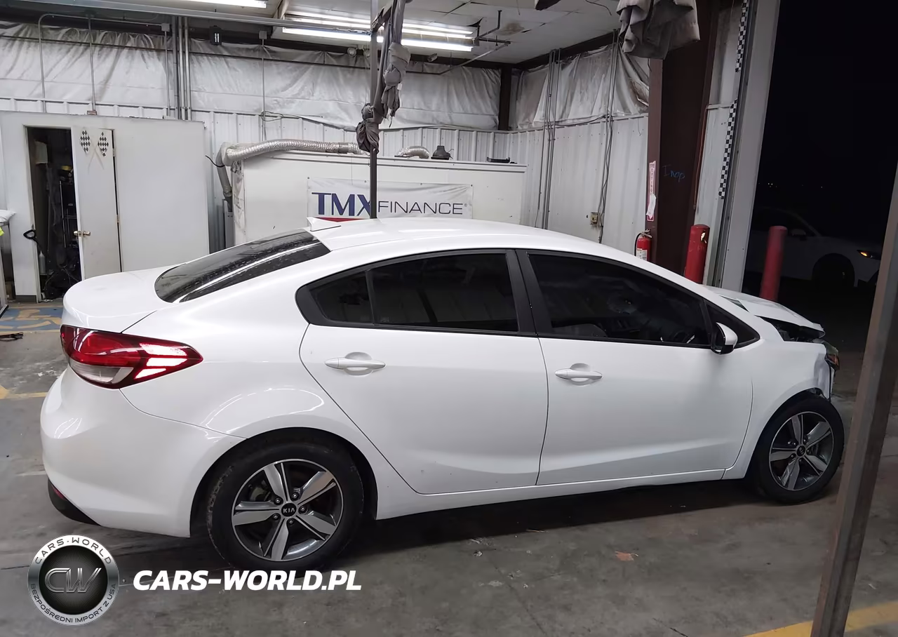 2018 Kia Forte Lx VIN:3KPFL4A79JE223876 - 14