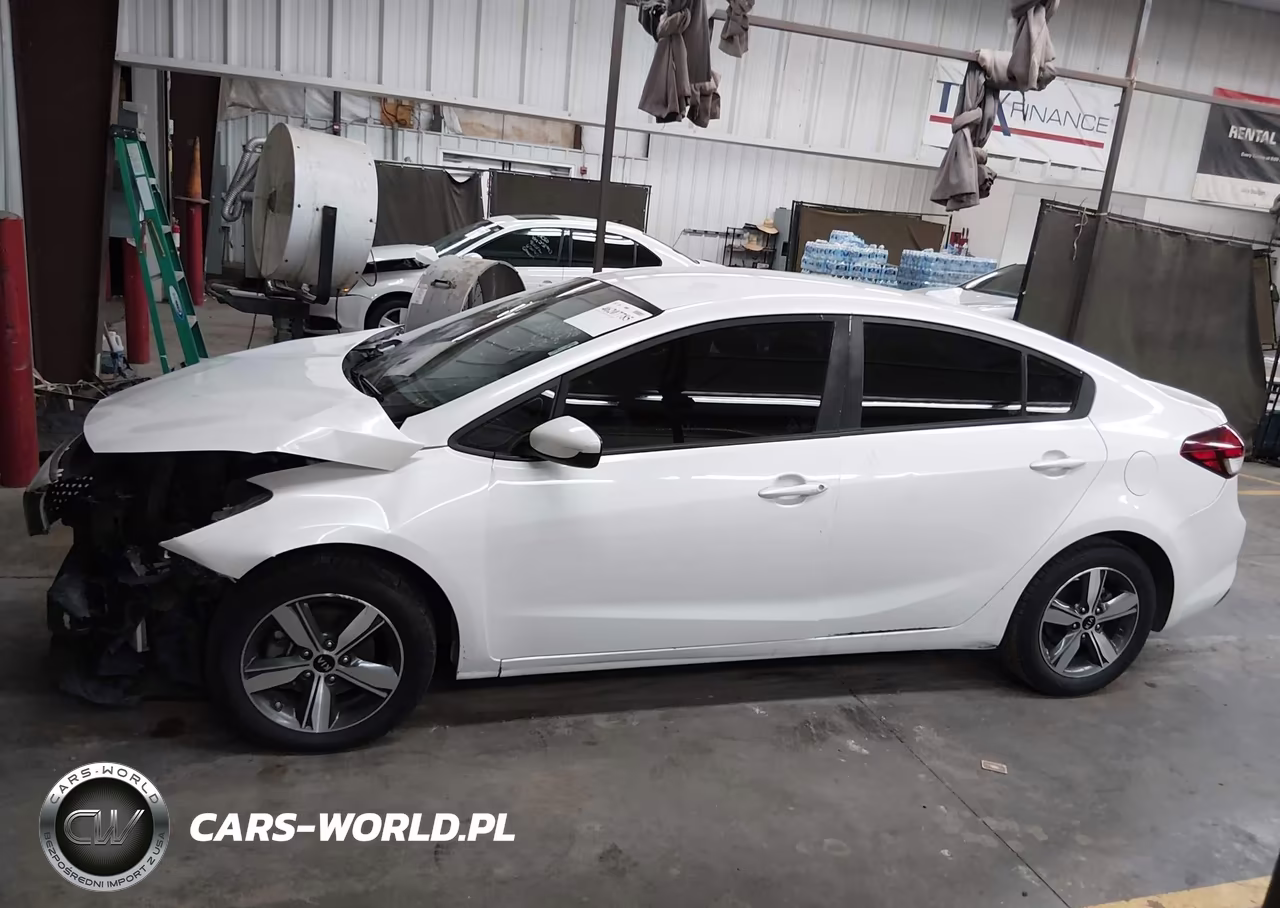 2018 Kia Forte Lx VIN:3KPFL4A79JE223876 - 15