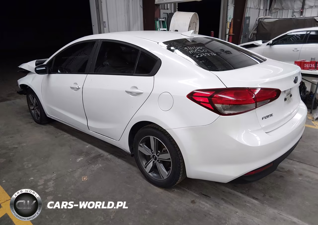 2018 Kia Forte Lx VIN:3KPFL4A79JE223876 - 3