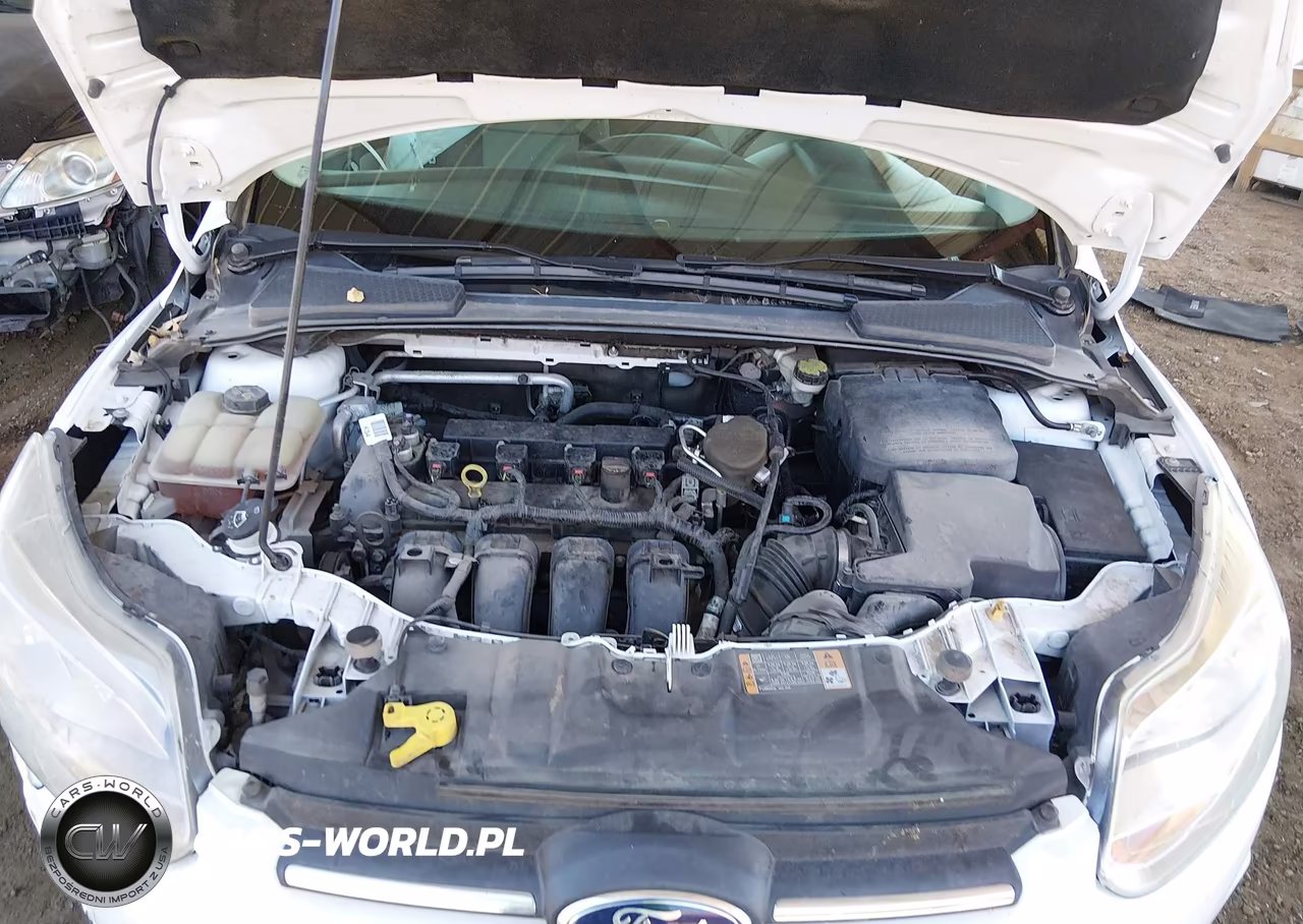 2014 Ford Focus Se VIN:1FADP3F2XEL433392 - 10