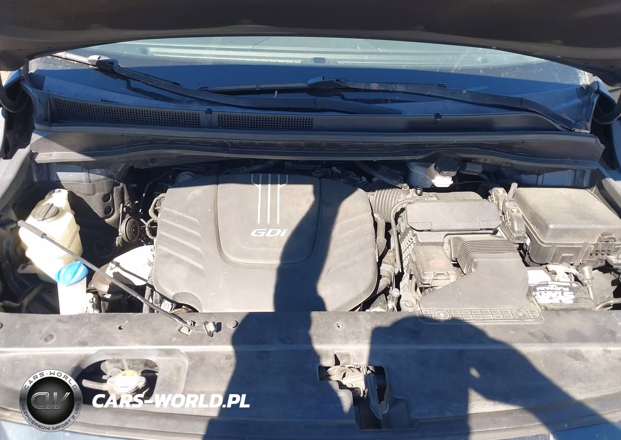 2015 Kia Sedona Sx VIN:KNDMC5C14F6050044 - 10
