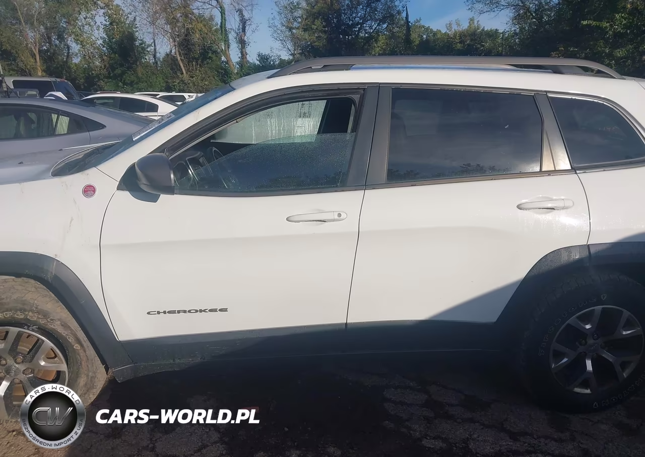 2014 Jeep Cherokee Trailhawk VIN:1C4PJMBB9EW308712 - 14