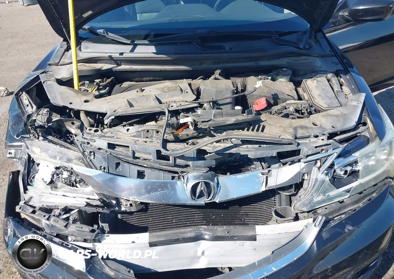 2016 Acura Ilx 2.4L (A8)-Acurawatch Plus Package VIN:19UDE2F33GA024184 - 10