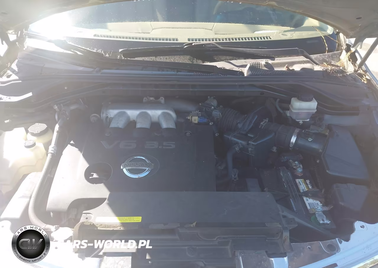 2004 Nissan Murano Sl VIN:JN8AZ08T04W224997 - 10