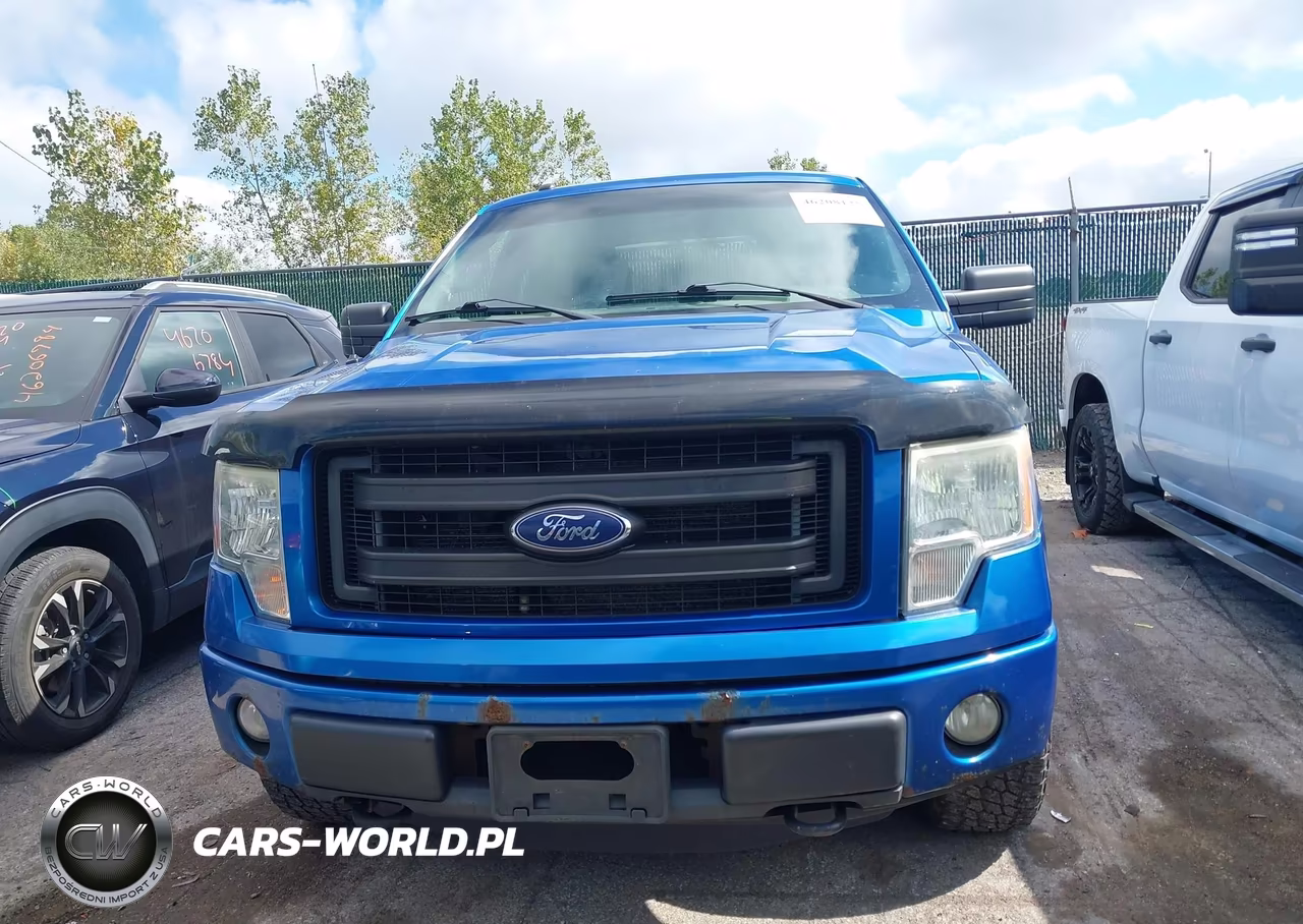 2013 Ford F-150 Stx VIN:1FTFX1EF9DFB07804 - 12