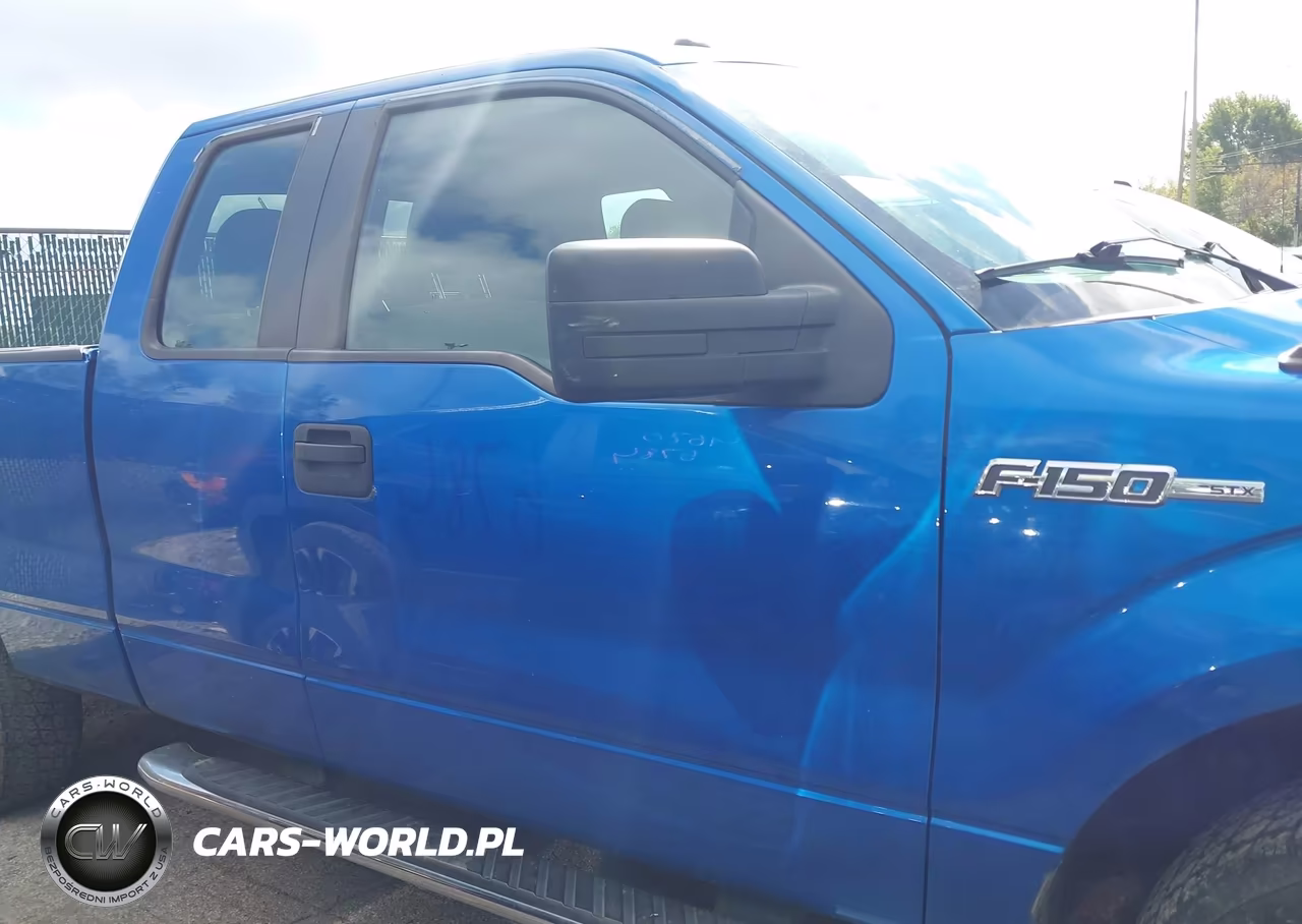 2013 Ford F-150 Stx VIN:1FTFX1EF9DFB07804 - 13