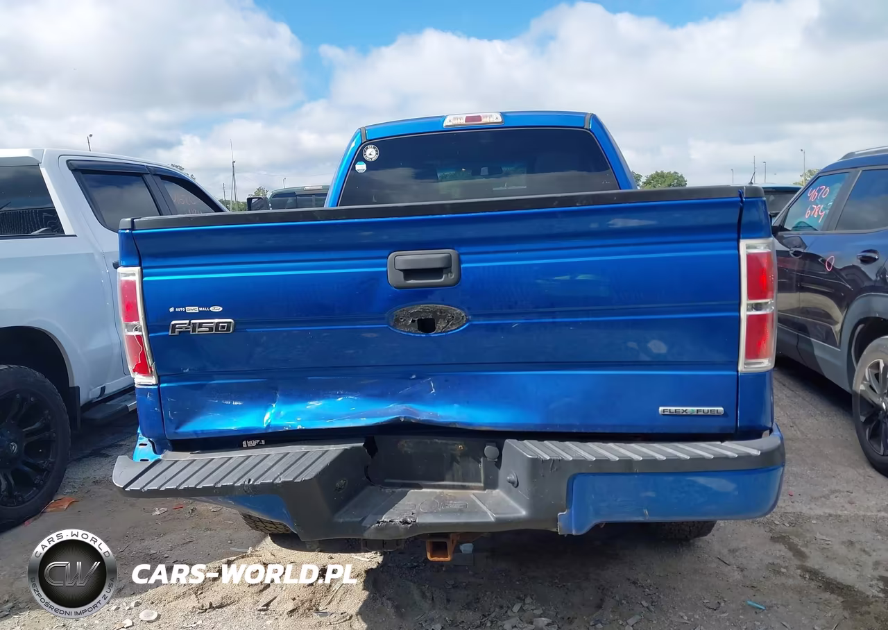 2013 Ford F-150 Stx VIN:1FTFX1EF9DFB07804 - 16