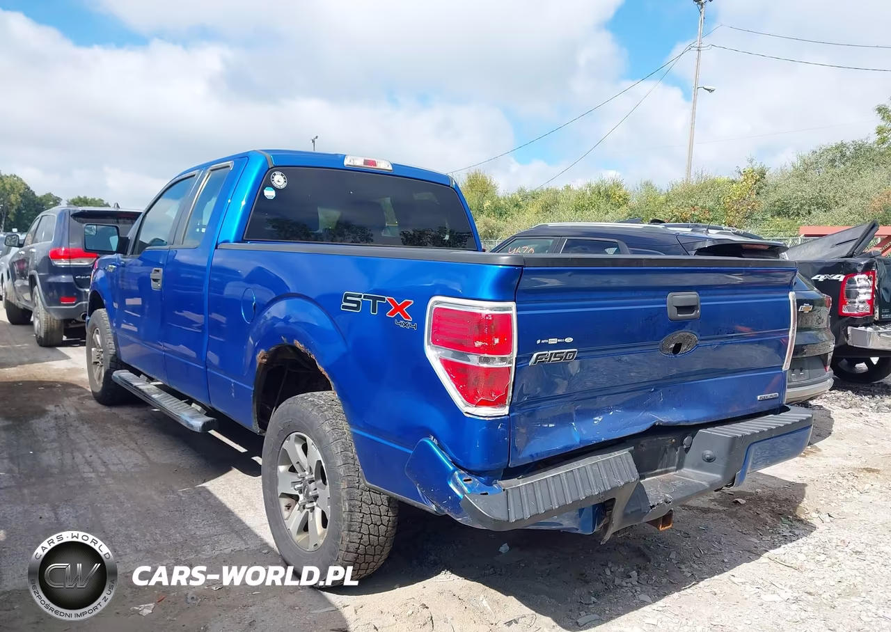 2013 Ford F-150 Stx VIN:1FTFX1EF9DFB07804 - 3