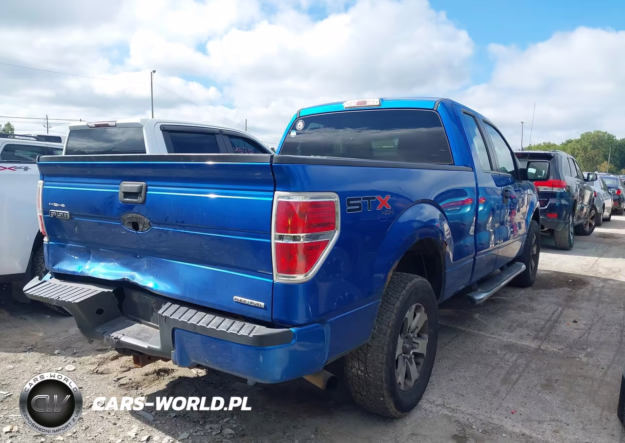2013 Ford F-150 Stx VIN:1FTFX1EF9DFB07804 - 4