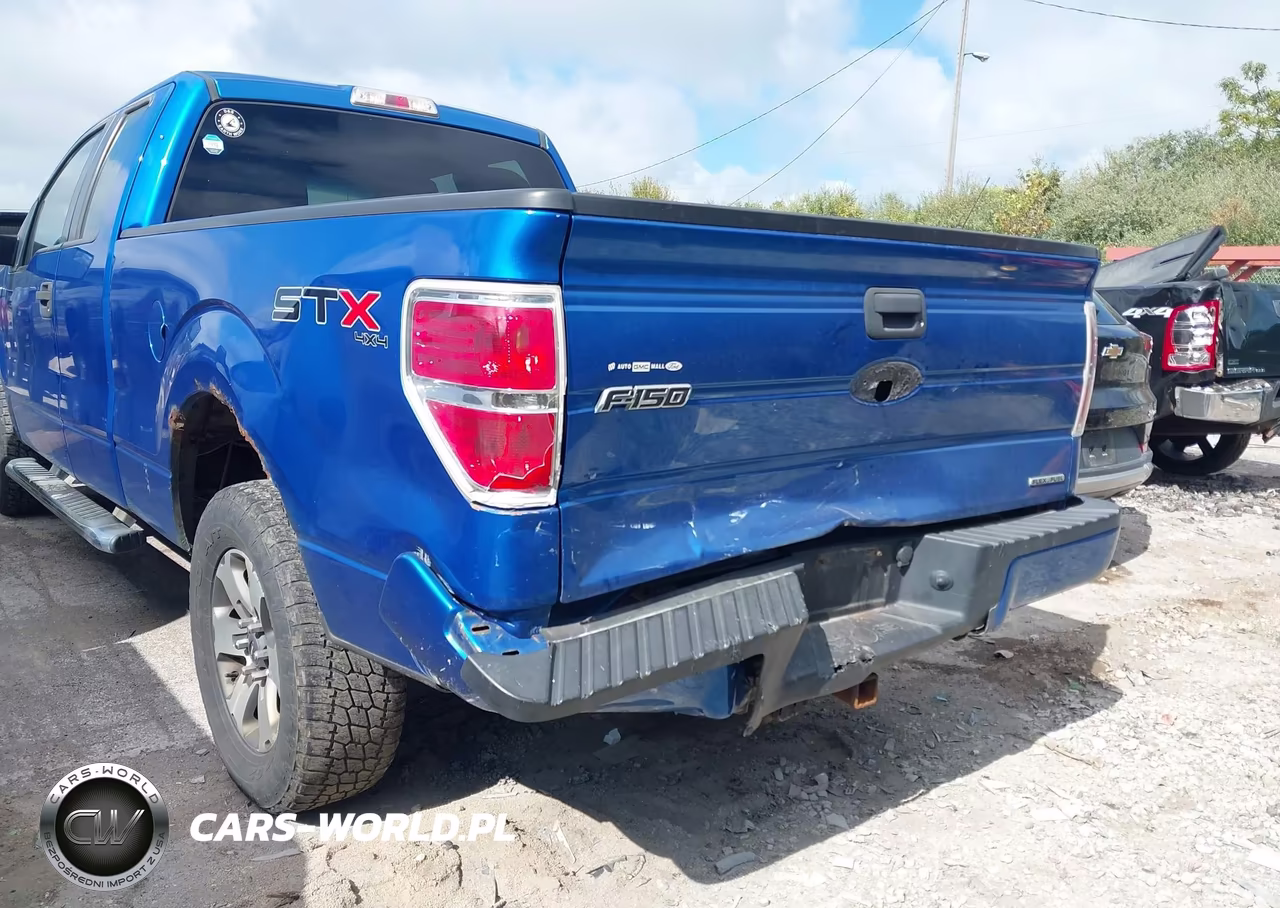2013 Ford F-150 Stx VIN:1FTFX1EF9DFB07804 - 6