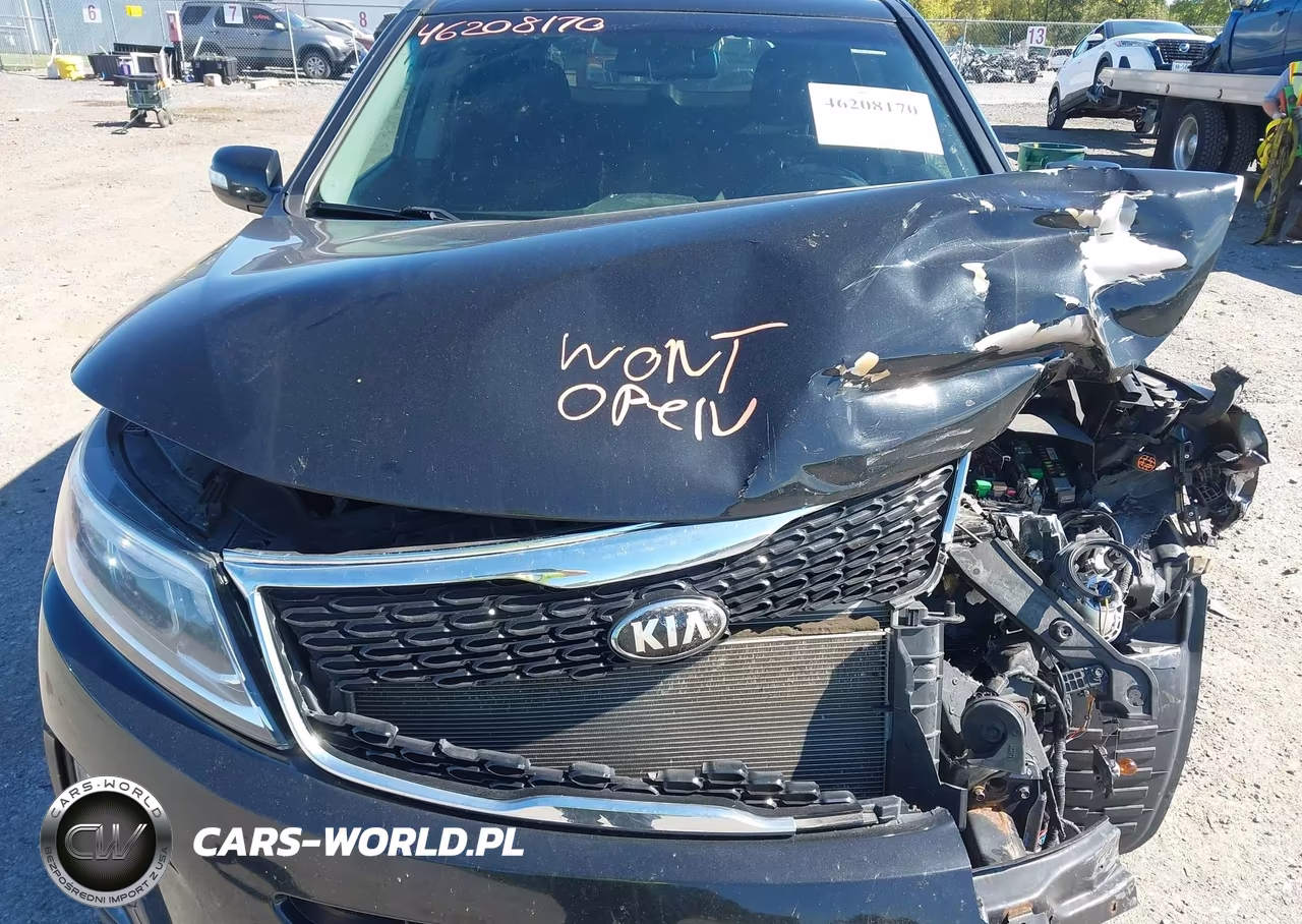 2014 Kia Sorento Lx VIN:5XYKTCA63EG550217 - 10
