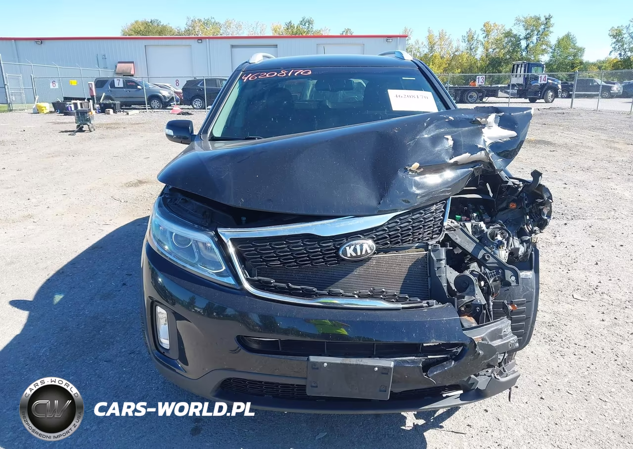 2014 Kia Sorento Lx VIN:5XYKTCA63EG550217 - 12