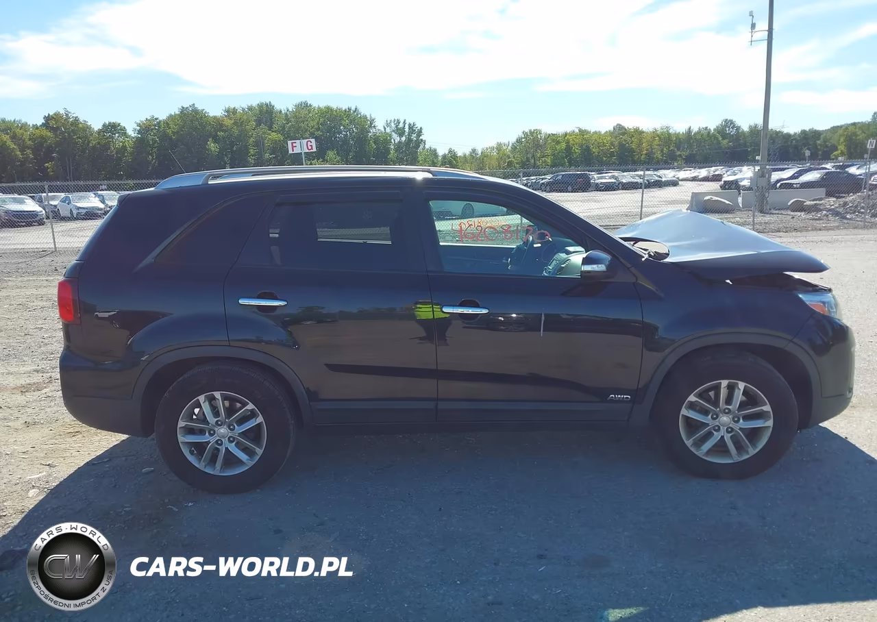 2014 Kia Sorento Lx VIN:5XYKTCA63EG550217 - 13