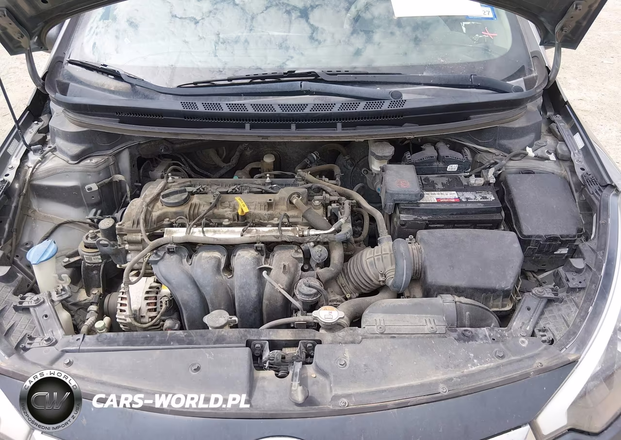 2016 Kia Forte Lx VIN:KNAFX4A63G5483865 - 10