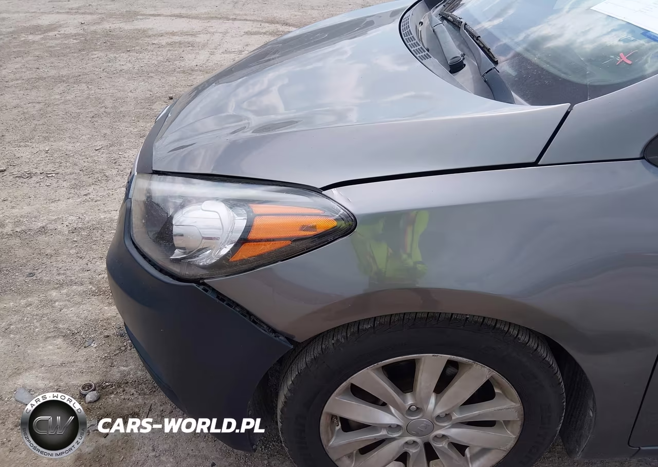 2016 Kia Forte Lx VIN:KNAFX4A63G5483865 - 14