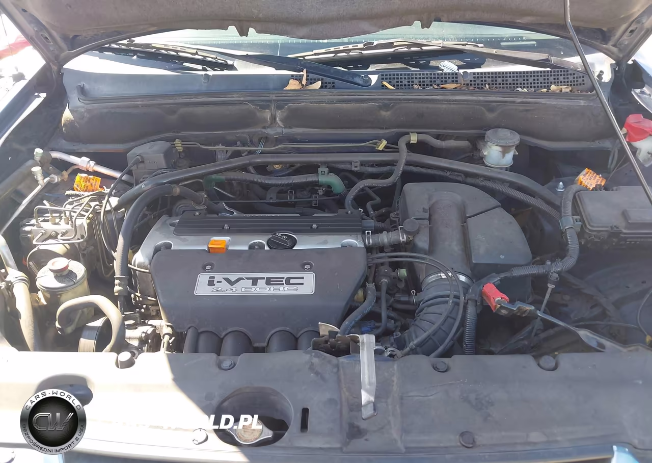 2004 Honda Cr-V Ex VIN:JHLRD78894C002674 - 10