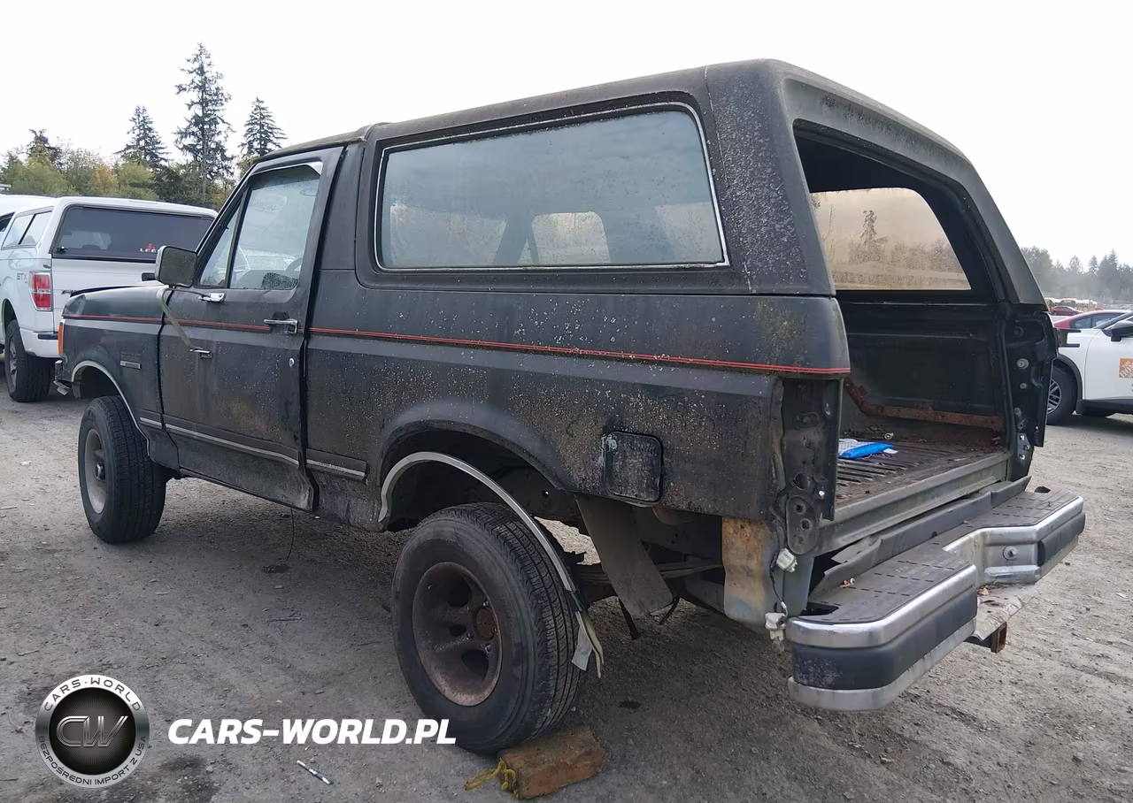 1990 Ford Bronco U100 VIN:1FMEU15H8LLA83576 - 3