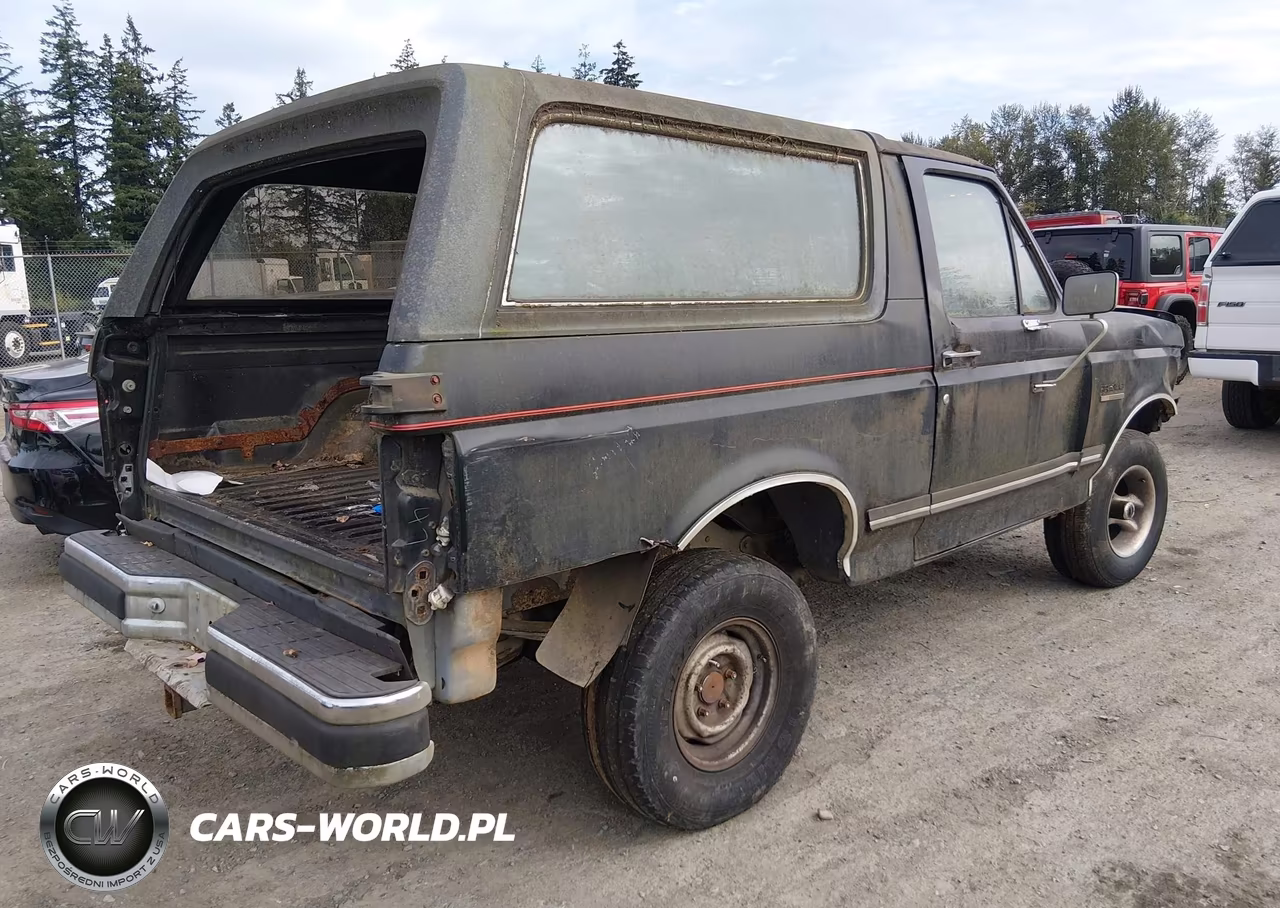 1990 Ford Bronco U100 VIN:1FMEU15H8LLA83576 - 4