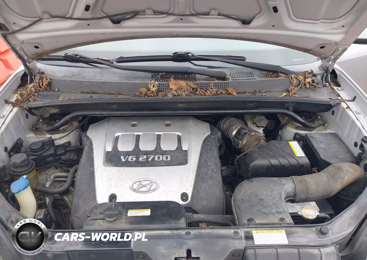 2006 Hyundai Tucson Gls-Limited VIN:KM8JN12D96U289677 - 10