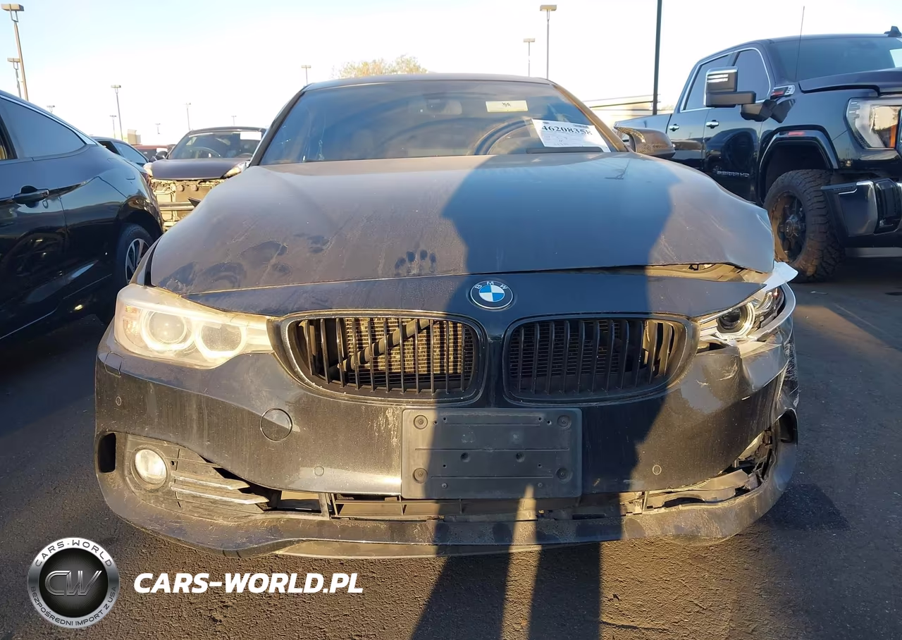 2016 BMW 428I Gran Coupe VIN:WBA4A9C58GG505941 - 12