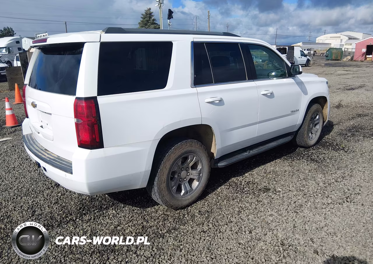 2020 Chevrolet Tahoe 4Wd Ls VIN:1GNSKAEC2LR104329 - 4