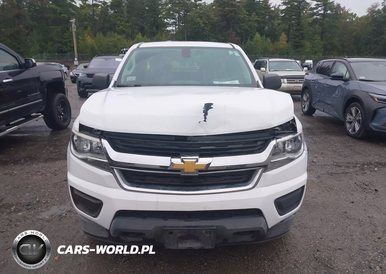 2017 Chevrolet Colorado Wt VIN:1GCHTBEAXH1243361 - 12